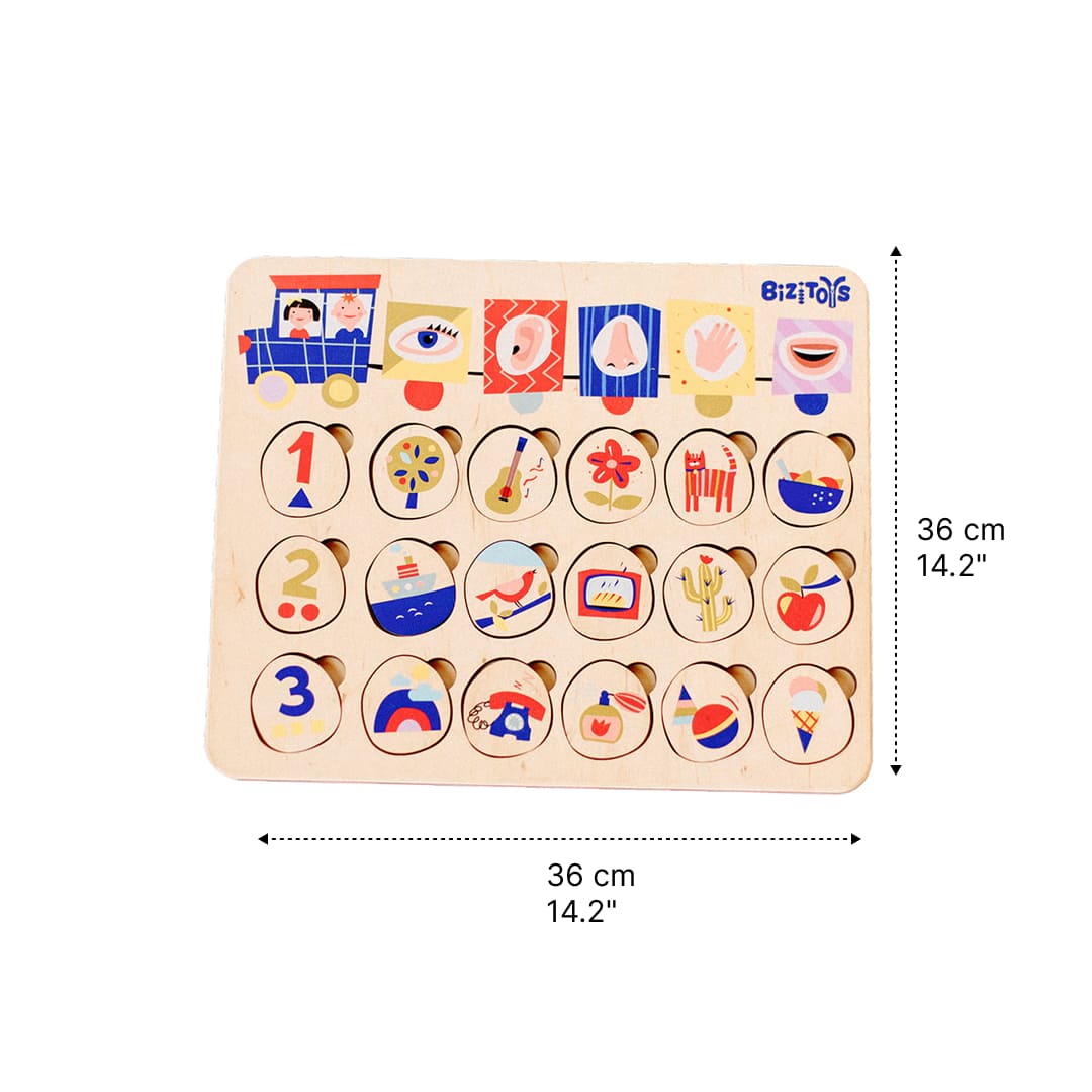 wooden matching toy sight smell taste